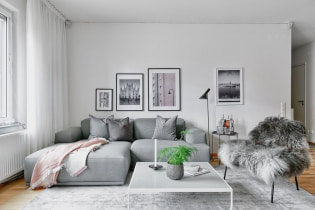 Gray sofa sa interior: mga uri, larawan, disenyo, pagsasama sa wallpaper, mga kurtina, dekorasyon