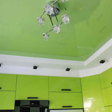 Plafond vert: design, nuances, combinaisons, types (étirement, cloison sèche, peinture, papier peint) -5