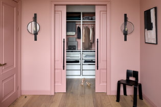 Portes du dressing: types, matériaux, design, couleur