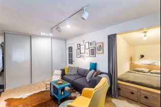 Conception d'un appartement d'une pièce avec une niche: photo, aménagement, disposition des meubles