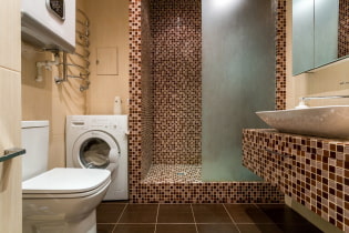 Salle de douche en carrelage: types, options de pose des carreaux, design, couleur, photo à l'intérieur de la salle de bain