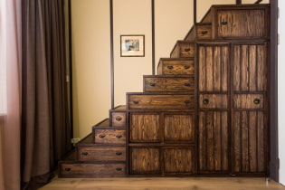 Armoire sous l'escalier: types, options de remplissage, idées originales dans une maison privée