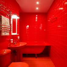 Salle de bain rouge: design, combinaisons, nuances, plomberie, exemples de finition de toilettes-0