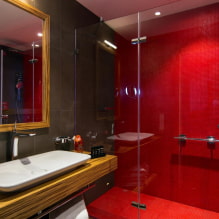 Salle de bain rouge: design, combinaisons, nuances, plomberie, exemples de finition de toilettes-3