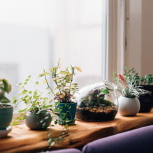 Comment décorer un rebord de fenêtre ? Options de décoration, photo à l'intérieur.