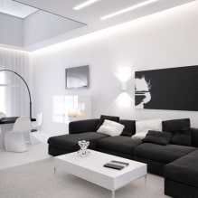 Salon noir et blanc: éléments de design, exemples réels à l'intérieur-2