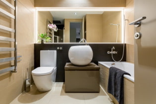 Intérieur de salle de bain combiné avec une toilette