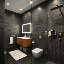 Intérieur d'une salle de bain combinée avec un WC-1