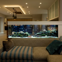 Aquarium à l'intérieur: photos, vues, exemples réels de design-1