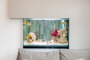 Aquarium à l'intérieur: photos, vues, exemples réels de design