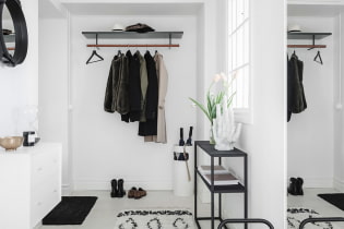 Comment décorer l'intérieur du couloir et du couloir dans le style scandinave?