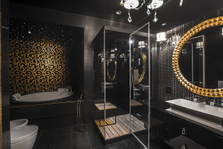 Salle de bain noire: photos et secrets de conception