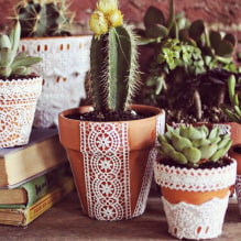 Comment faire des pots de fleurs de vos propres mains? 9 master classes-8