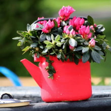 Comment faire des pots de fleurs de vos propres mains? 9 master classes-4