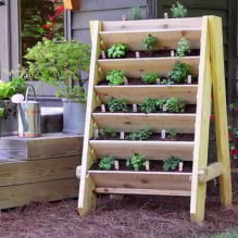 Comment aménager un parterre de fleurs à plusieurs niveaux dans un chalet d'été? -0