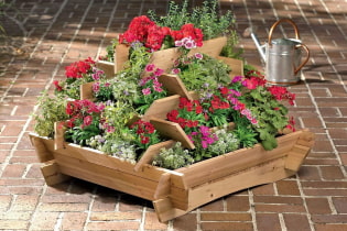 Comment aménager un parterre de fleurs à plusieurs niveaux dans un chalet d'été?