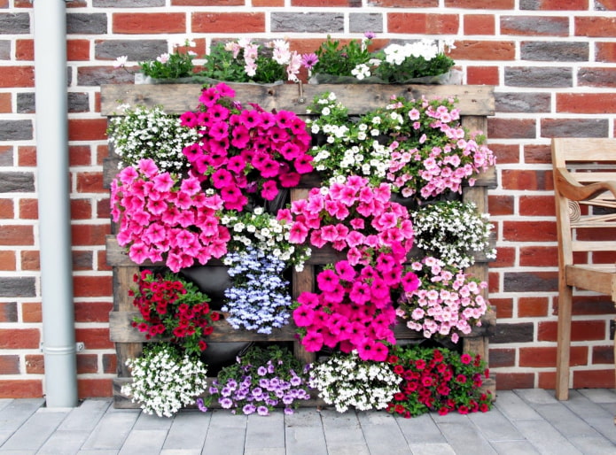 Comment faire un parterre de fleurs vertical ?