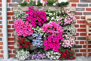 Comment faire un parterre de fleurs vertical ?