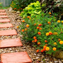 Comment décorer joliment les allées de jardin pour une résidence d'été ? -8