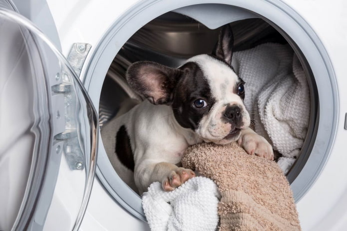 Dois-je fermer la porte du lave-linge ? (Analysons tous les avantages et inconvénients)