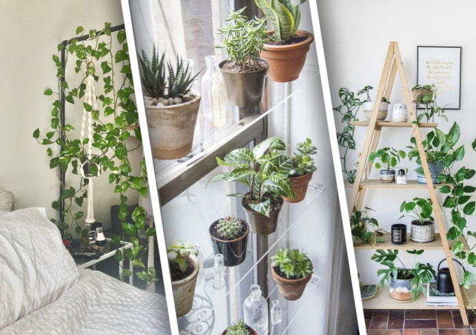 Comment bien décorer une maison avec des plantes ?