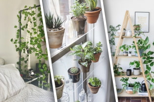 Comment bien décorer une maison avec des plantes ?