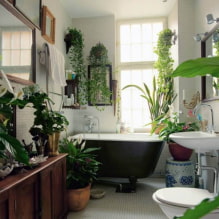 Quelles plantes choisir pour la salle de bain ? -0