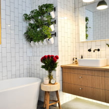 Quelles plantes choisir pour la salle de bain ? -3