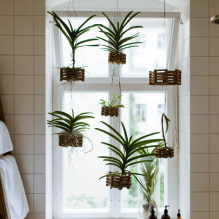 Quelles plantes choisir pour la salle de bain ? -4