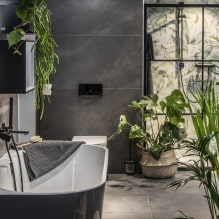 Quelles plantes choisir pour la salle de bain ? -5