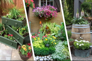 Belles idées de parterres de fleurs dans la cour d'une maison privée