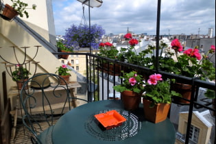 Quelles fleurs planter sur le balcon ?