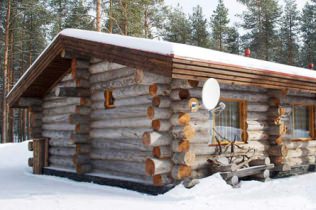 Maisons en pin de bois mort