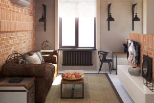 Aménagement intérieur d'un appartement de 37 m². m dans le style loft